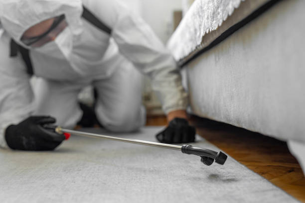 Professional Pest Control technician working in Coloma, MI