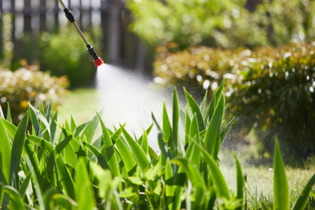 24/7 Emergency Cockroach Control experts in Coloma, MI